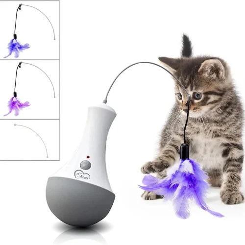 Cat or Kitten interactive toy